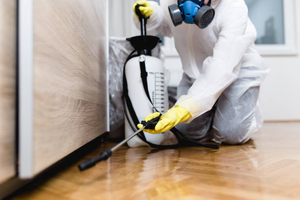 Best Local Pest Control Services  in Nd Point, WI