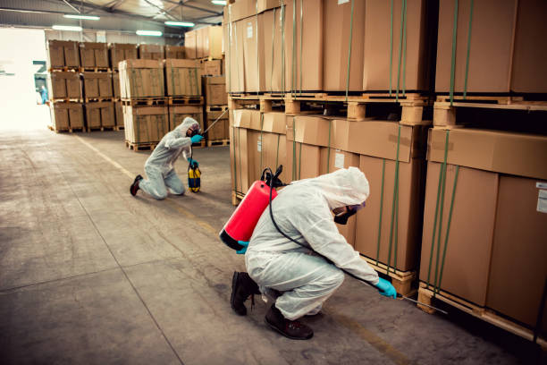 Best Pest Control for Homes  in Nd Point, WI