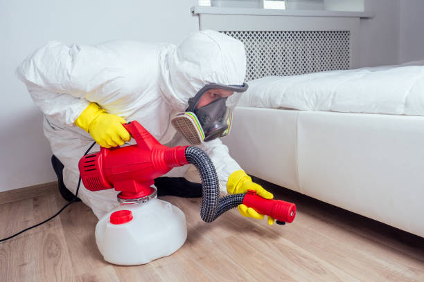 Best Affordable Pest Control Services  in Nd Point, WI