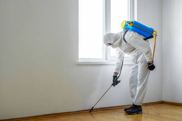 Best Residential Pest Control  in Nd Point, WI