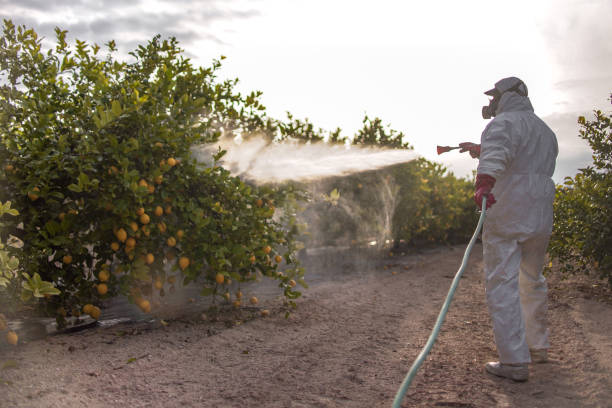 Best Bed Bug Extermination  in Nd Point, WI