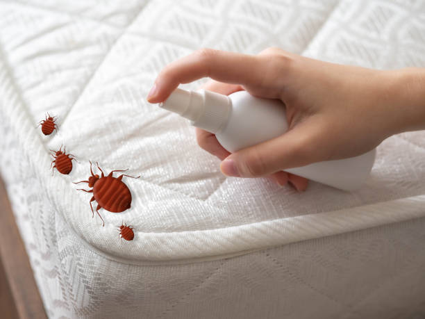 Best Cockroach Control Services  in Nd Point, WI
