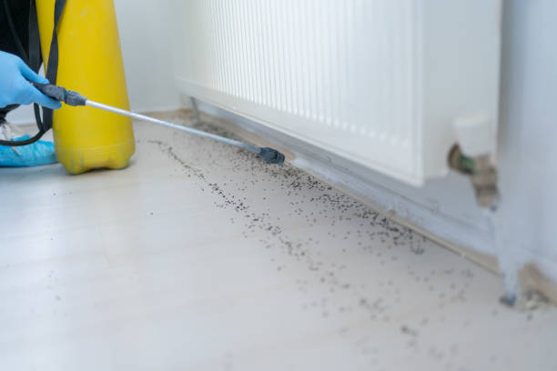 Reliable Wind Point, WI Pest Control Solutions